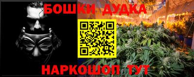 прущие грибы Будённовск