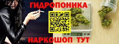 прущие грибы Будённовск