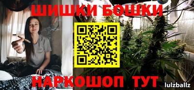 прущие грибы Будённовск