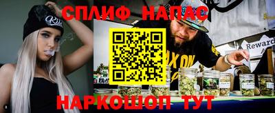 прущие грибы Будённовск