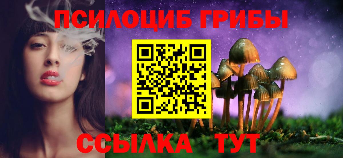 Рубцовск  Галлюциногенные грибы Magic Shrooms  Вход с VPN  купить закладку  Псилоцибиновые грибы прущие грибы 